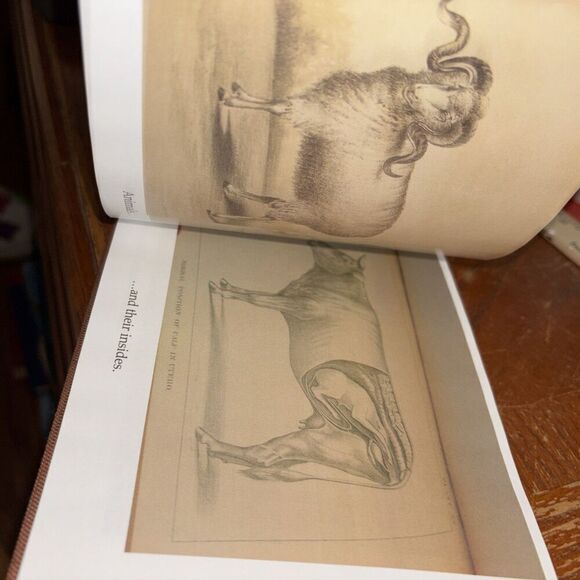 The US Congressional Serial Set Digitization Project 2005-2013 Dartmouth College - Picture 8 of 9